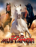 Wild Mustangs - Wild Mustangs - DVD