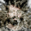 D'aversa,luca - Fuori - Music CD
