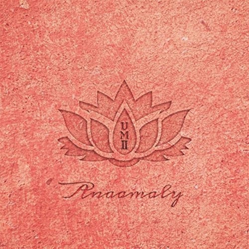 Anaamaly - Urban Metta 2 - Music CD