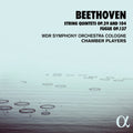 Beethoven - String Quintets 29 & 104 - Music CD