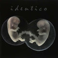 Sad Lovers & Giants - Identico - Vinyl Record