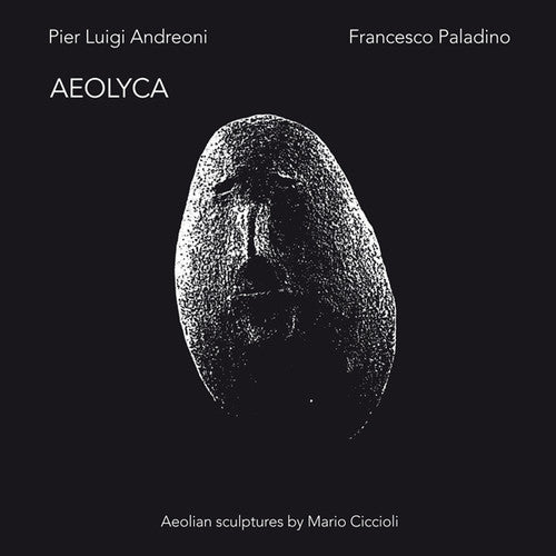 Andreoni,pier Luigi / Paladino,francesco - Aeolyca - Vinyl Record
