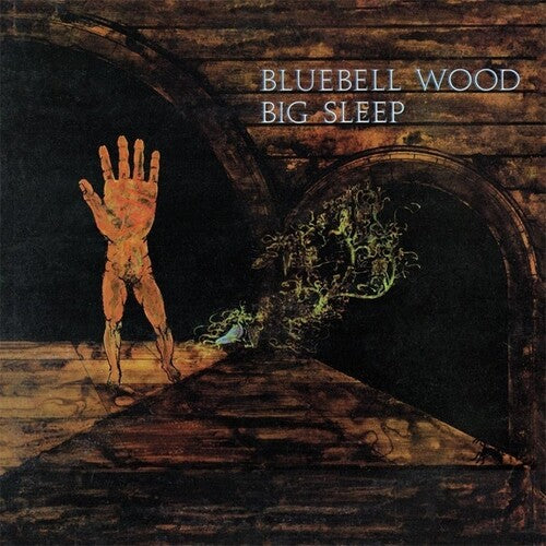Big Sleep - Bluebell Wood - Vinyl Record