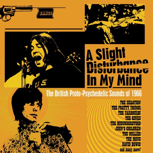 Slight Disturbance In My Mind / Various - Slight Disturbance In My Mind / Various - Music CD