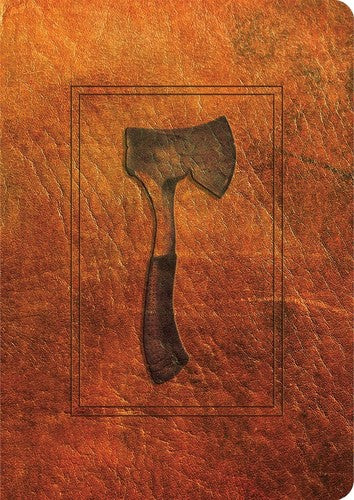 Paulsen,gary / Willis,drew - Hatchet - Books