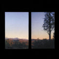 Bonny Doon - Longwave - Vinyl Record