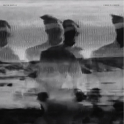 Routine Death - 2 Weeks To 4 - Vinyl Record