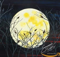 Wilson,jason - Sumach Roots - Music CD