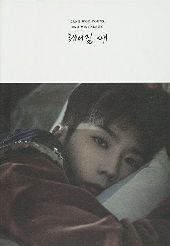 Jang,woo-young - Bye - Music CD