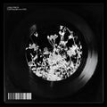 Loma Prieta - Continuum / Fate - Vinyl Record