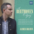 Brawn - Beethoven Odyssey 5 - Music CD