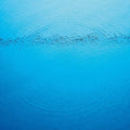 Caribou - Suddenly - Music CD