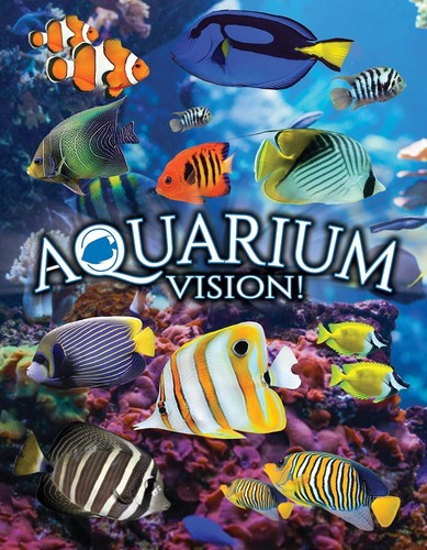 Aquarium Vision - Aquarium Vision - DVD