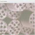 Pullman - Viewfinfer - Music CD