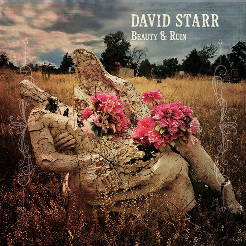 Starr,david - Beauty & Ruin - Vinyl Record