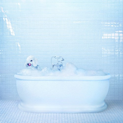 Frankie Cosmos - Vessel - Music CD