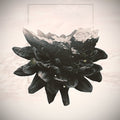 Eternal Void - Catharsis - Music CD