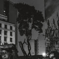 Lima,manuel Pessoa De - Realejo - Vinyl Record