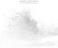 Gibson,kenneth James - In The Fields Of Nothing - Music CD