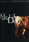 Criterion Collection - My Life As A Dog/dvd - DVD