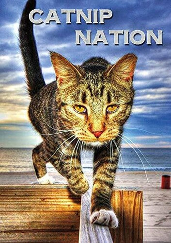 Catnip Nation - Catnip Nation - DVD