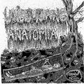 Anatomia / Undergang - Split - Vinyl Record