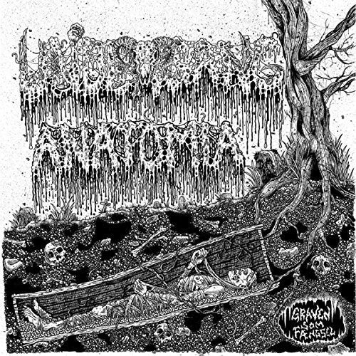 Anatomia / Undergang - Split - Vinyl Record