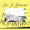 Werner,jan St - Molocular Meditation - Vinyl Record