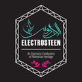 Electrosteen / Various - Electrosteen / Various - Vinyl Record