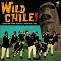Wild Chile / Various - Wild Chile / Various - Vinyl Record
