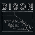 Bison - One Thousand Needles - Music CD