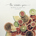 Wonder Years - Burst & Decay Vol. 2 - Vinyl Record