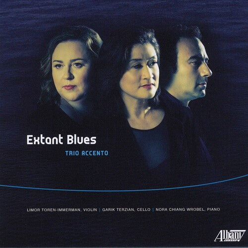 Toren-immerman / Terzian / Wrobel - Extant Blues Trio Accento - Music CD
