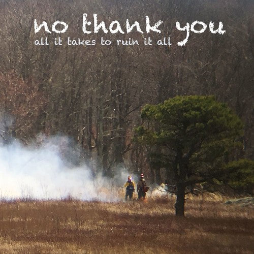 No Thank You - All It Takes To Ruin It All - Vinyl Record