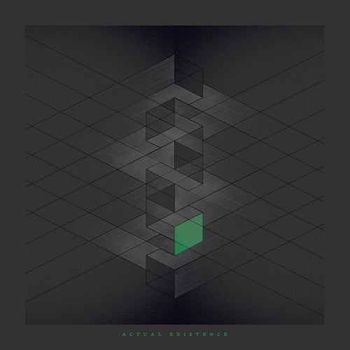 Rlyr - Actual Existence - Vinyl Record