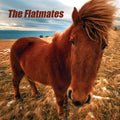 Flatmates - Flatmates - Vinyl Record