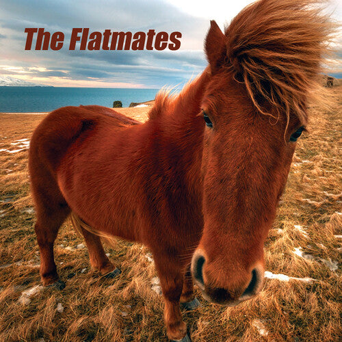 Flatmates - Flatmates - Vinyl Record