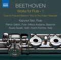 Beethoven / Kazunori - Works For Flute - Music CD