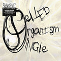 Single Celled Organism - Splinter In The Eye - Music CD
