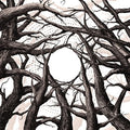 Svalbard - It's Hard To Have Hope - Music CD
