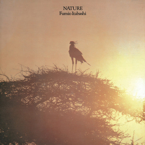Itabashi,fumio - Nature - Vinyl Record