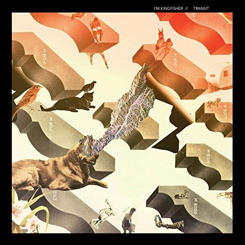 I'm Kingfisher - Transit - Music CD