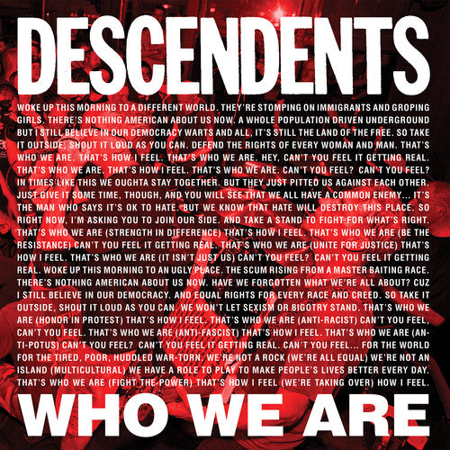 Descendents - Who We Are - Vinyl Record