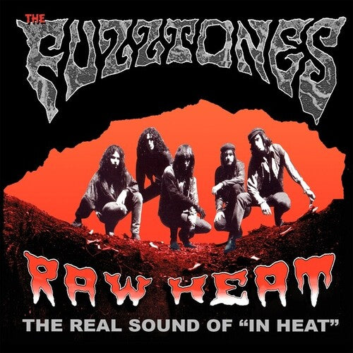 Fuzztones - Raw Heat: Real Sound Of In Heat - Vinyl Record