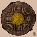 Muna Musik 011 / Various - Muna Musik 011 / Various - Vinyl Record