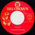 Bacao Rhythm & Steel Band - Jungle Fever / Tender Trap - Vinyl Record