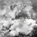Exitmusic - Recognitions - Vinyl Record