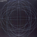La Habitacion Roja - Fue Electrico - Vinyl Record