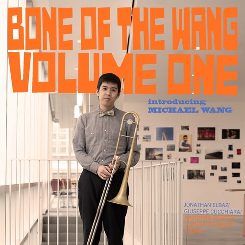 Wang,michael - Bone Of The Wang 1 - Music CD