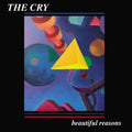 Beautiful Reasons (Blue) [Download Included] Vinyl Record